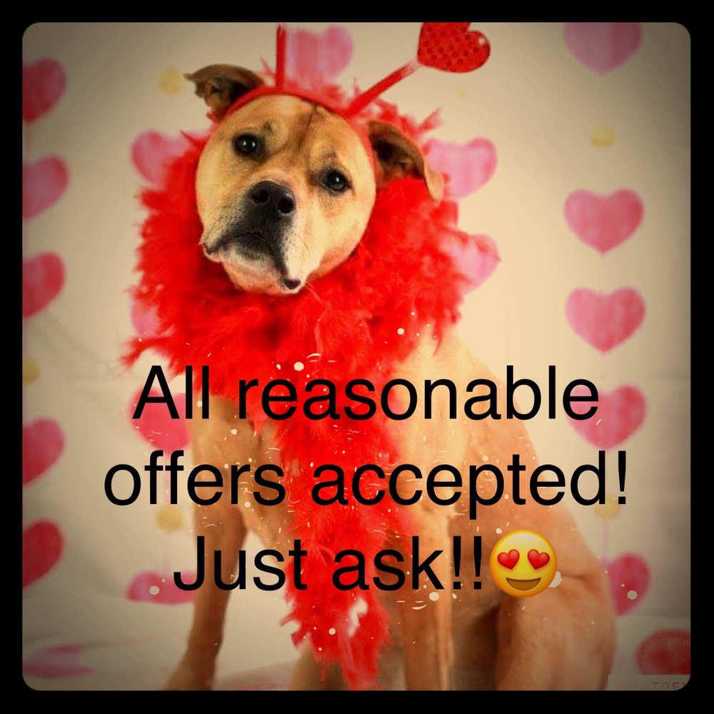 Accepting all reasonable offers accepted!!